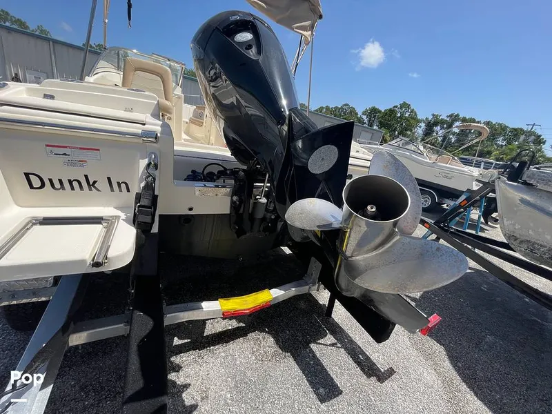 Slide: The Image of Scout 210 Dorado 2023 - 15701164