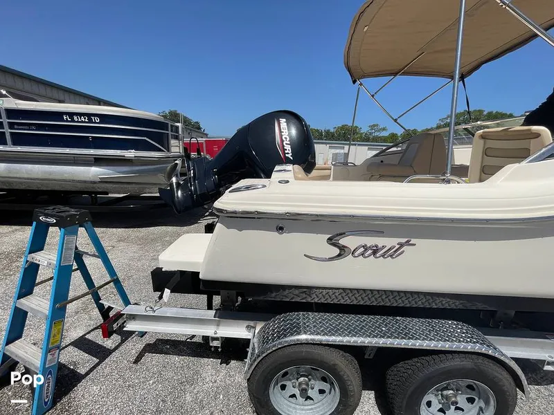 Slide: The Image of Scout 210 Dorado 2023 - 15701183