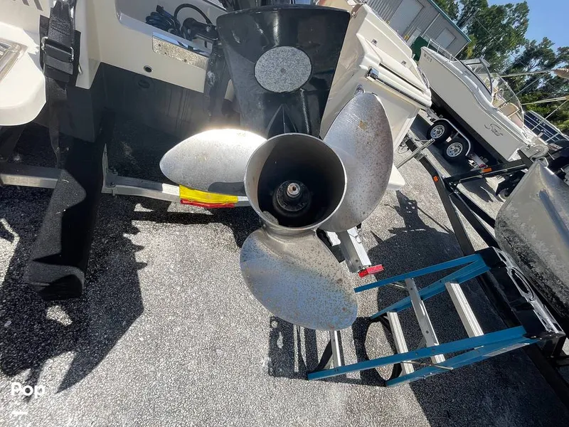 Slide: The Image of Scout 210 Dorado 2023 - 15701184