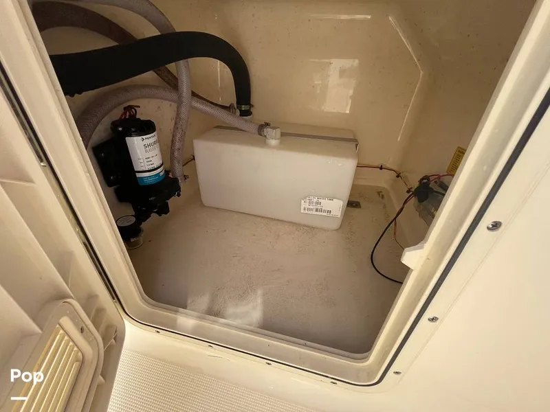 Slide: The Image of Scout 210 Dorado 2023 - 15701216