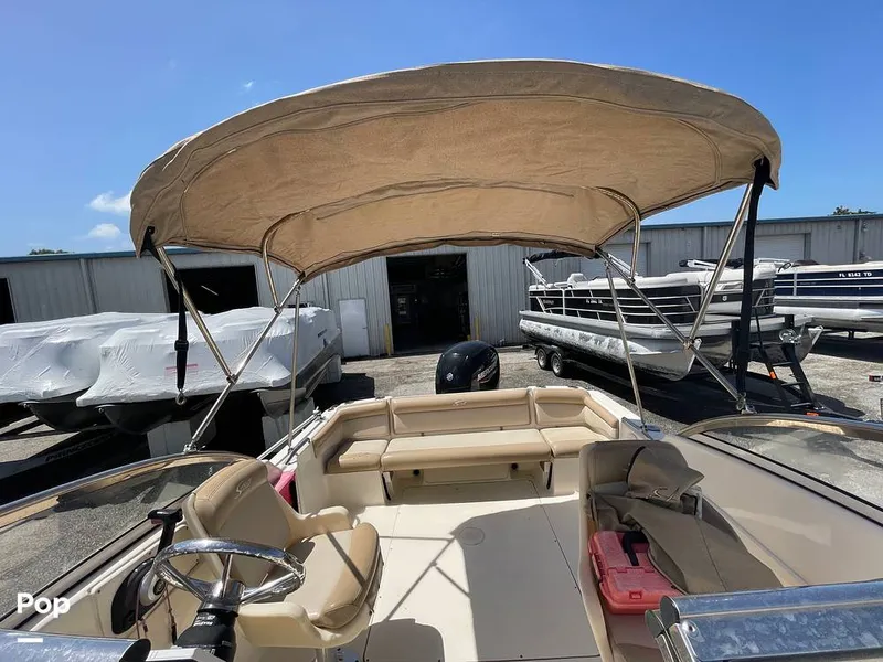 Slide: The Image of Scout 210 Dorado 2022 - 15701347