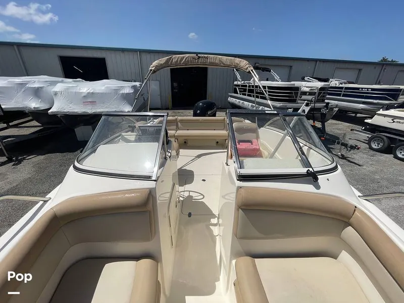 Slide: The Image of Scout 210 Dorado 2022 - 15701343