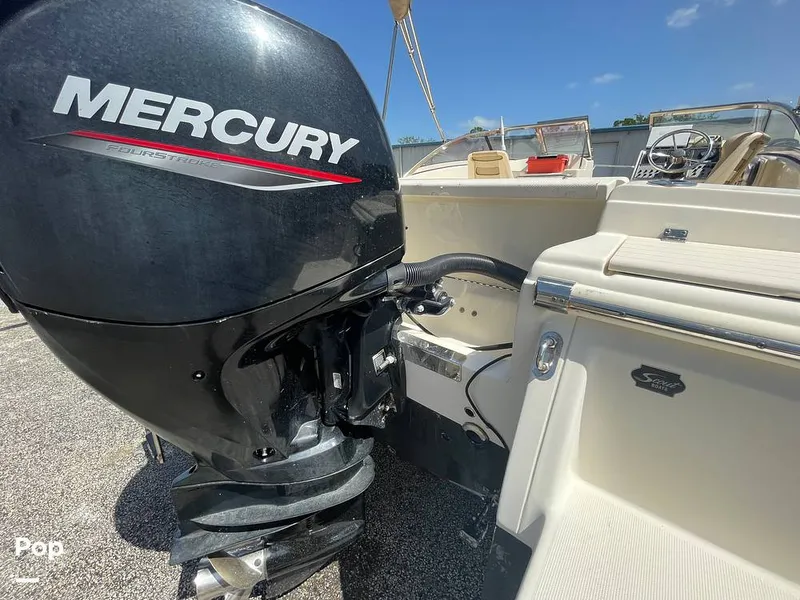 Slide: The Image of Scout 210 Dorado 2022 - 15701298