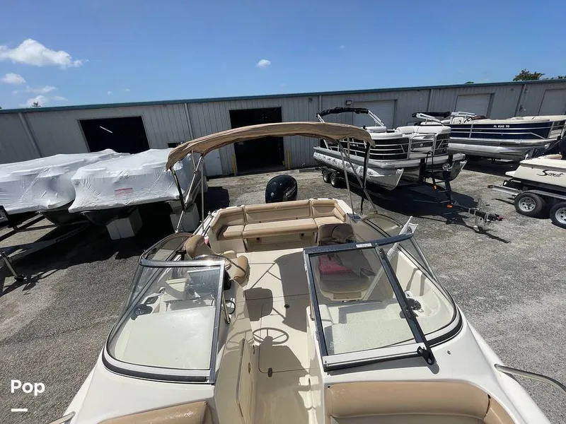 Slide: The Image of Scout 210 Dorado 2022 - 15701351