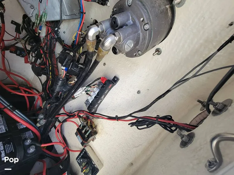 Slide: The Image of Key West 244CC 2021 - 15729097