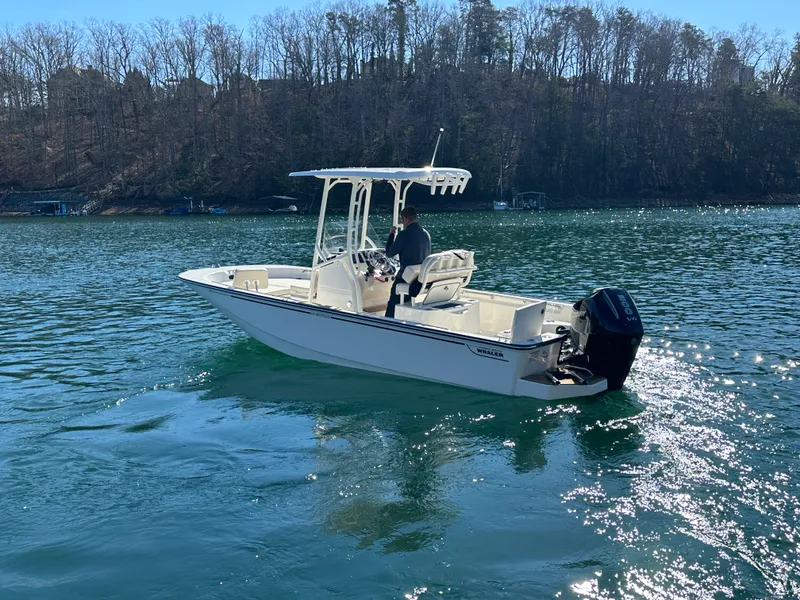 Slide: The Image of Boston Whaler 210 Montauk 2026 - 9