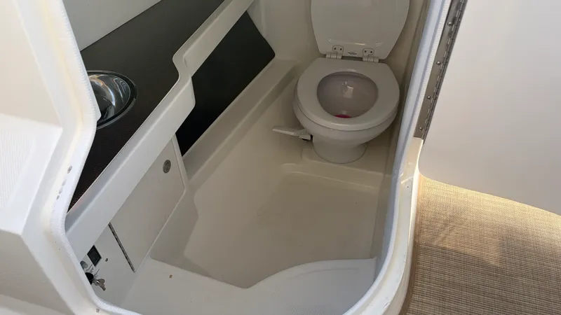 Slide: The Image of Sea Ray SLX 310 Outboard 2026 - 37