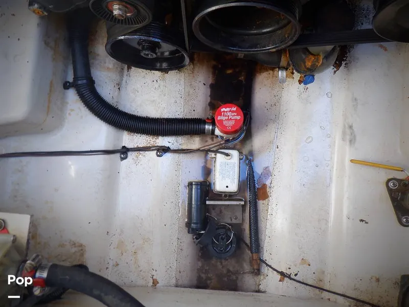 Slide: The Image of Sea Ray 260 Sundancer 2006 - 15809708