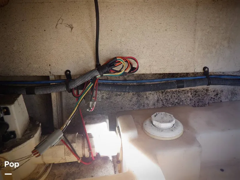 Slide: The Image of Sea Ray 260 Sundancer 2006 - 15809713