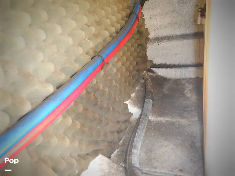 Slide: The Image of Sea Ray 260 Sundancer 2006 - 15809715