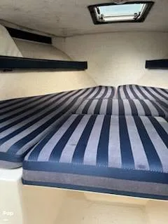 Slide: The Image of Pursuit 2460 DENALI 2001 - 15707045