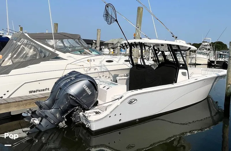 The Image of Sea Fox Commander 288 2024 - 15724311