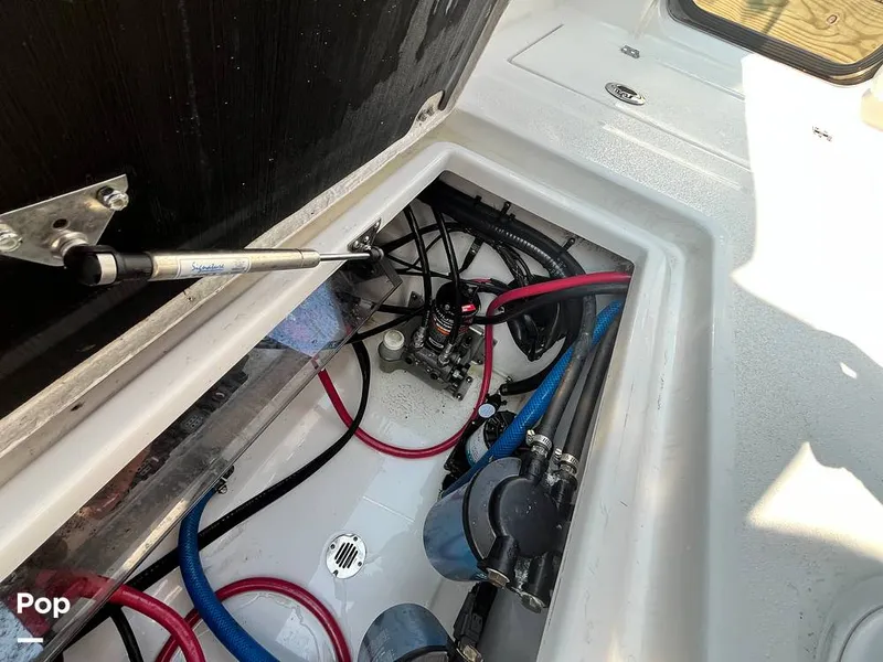 Slide: The Image of Sea Fox Commander 288 2024 - 15724228