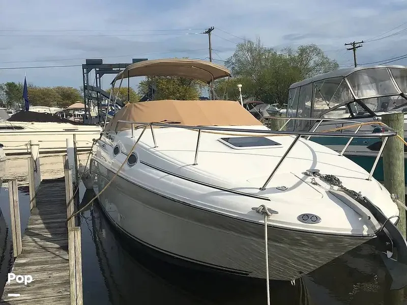 Slide: The Image of Sea Ray 260 Sundancer 2001 - 15736568