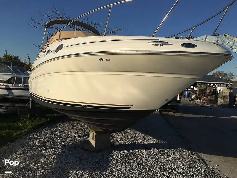 Slide: The Image of Sea Ray 260 Sundancer 2001 - 15736571