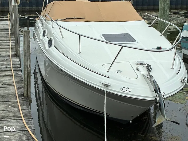 Slide: The Image of Sea Ray 260 Sundancer 2001 - 15766548