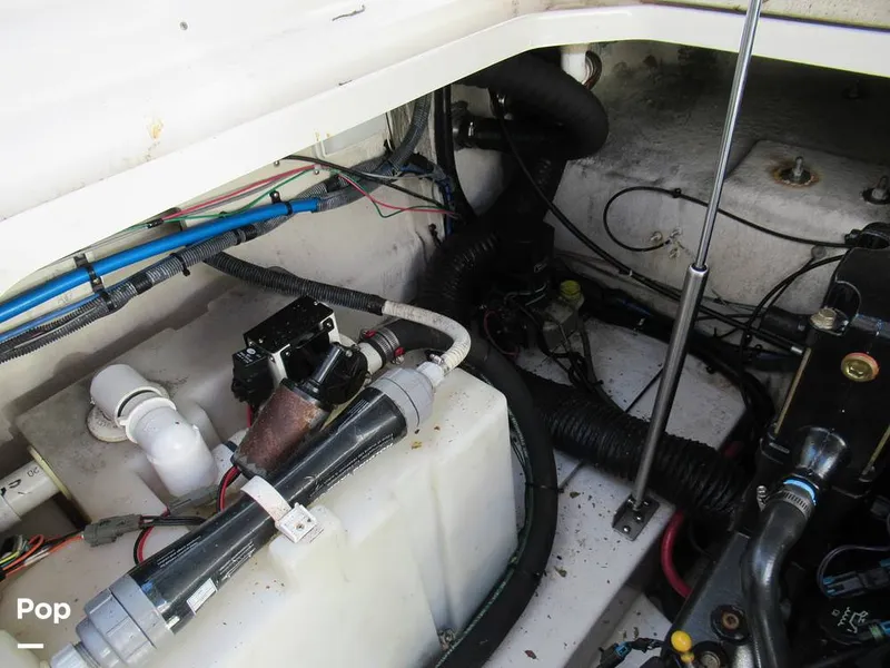 Slide: The Image of Sea Ray 270 Amberjack 2005 - 15795656