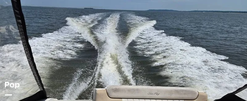 Slide: The Image of Sea Ray 260 Sundancer 2012 - 16097655