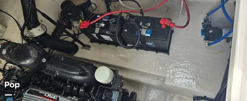 Slide: The Image of Sea Ray 260 Sundancer 2012 - 16097659