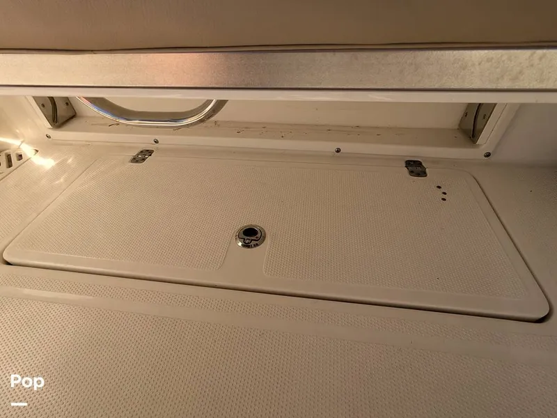 Slide: The Image of Sailfish 275 DC 2020 - 16064439