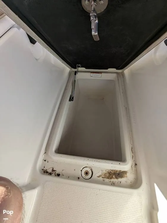 Slide: The Image of Sailfish 275 DC 2020 - 16064456