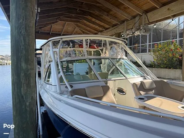 Slide: The Image of Sailfish 275 DC 2020 - 16074731