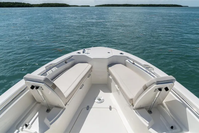 Slide: The Image of Boston Whaler 280 Dauntless 2024 - 38