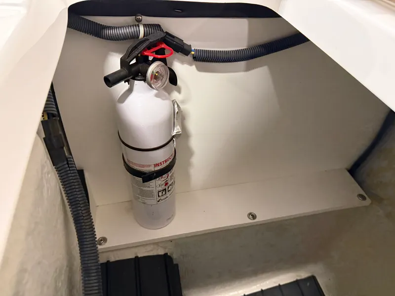 Slide: The Image of Cobalt 242 2011 - 24