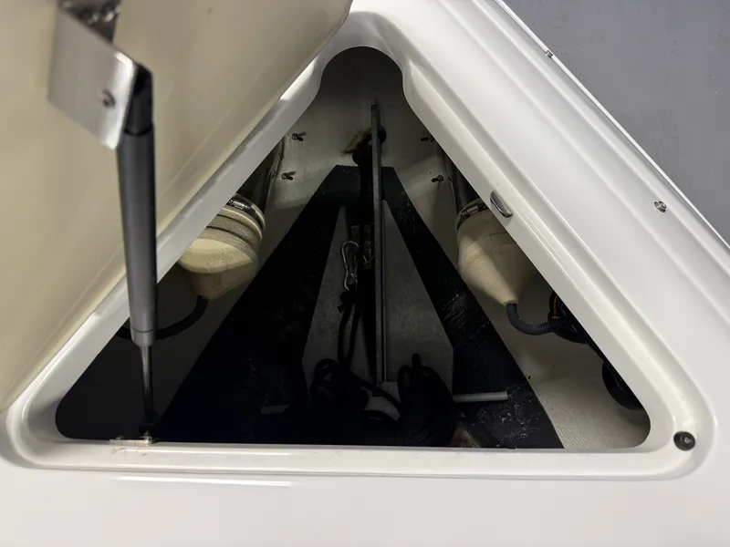 Slide: The Image of Cobalt 242 2011 - 62