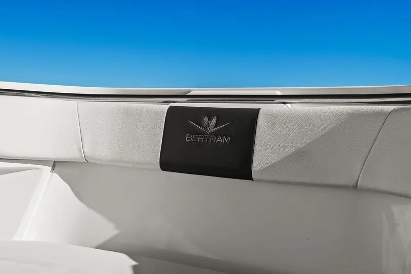 Slide: The Image of Bertram 39CC 2023 - 47