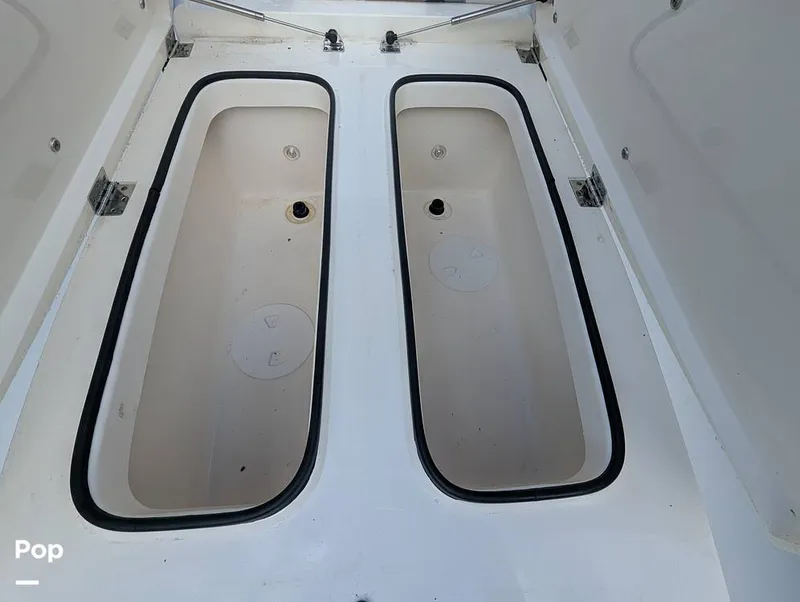 Slide: The Image of Shearwater Carolina 270 2021 - 15750588