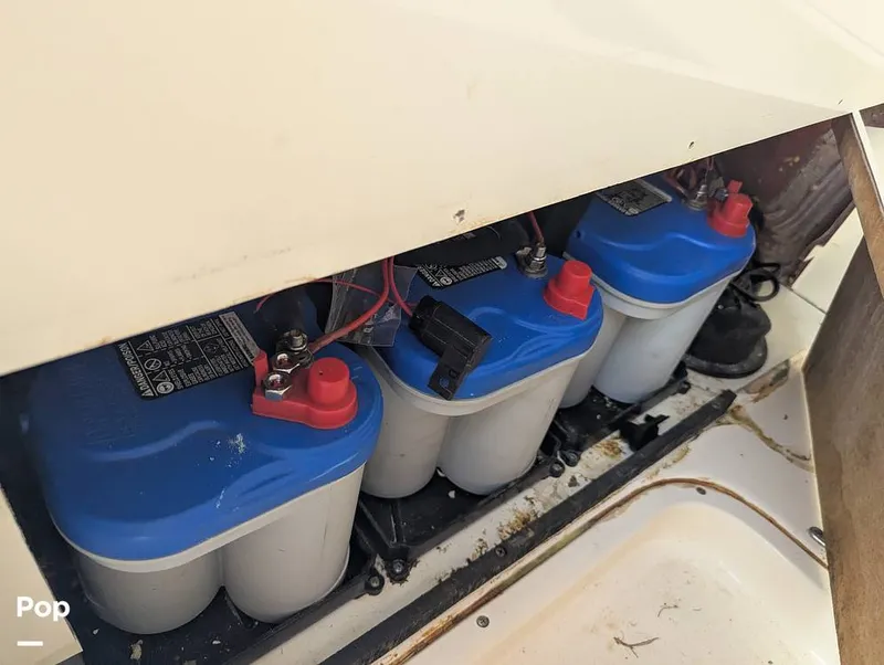 Slide: The Image of Shearwater Carolina 270 2021 - 15750602