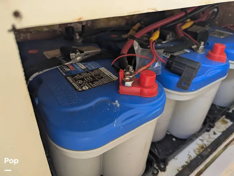 Slide: The Image of Shearwater Carolina 270 2021 - 15750603