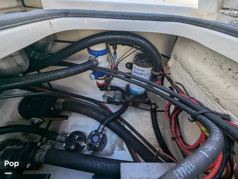 Slide: The Image of Shearwater Carolina 270 2021 - 15750618