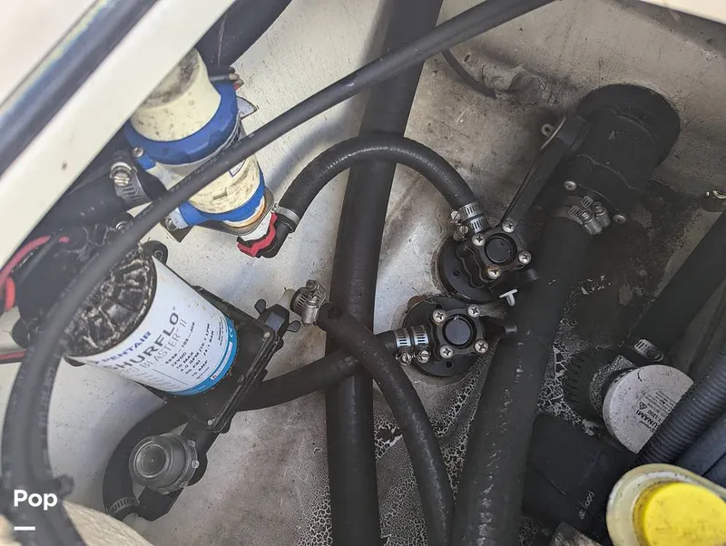 Slide: The Image of Shearwater Carolina 270 2021 - 15750621