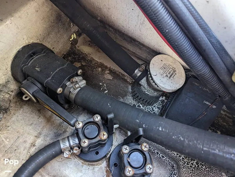 Slide: The Image of Shearwater Carolina 270 2021 - 15750622