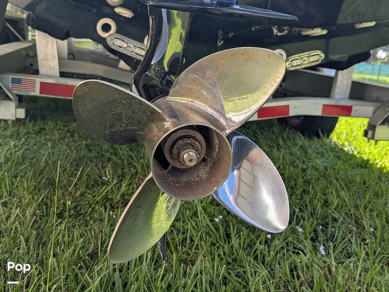 Slide: The Image of Shearwater Carolina 270 2021 - 15750630