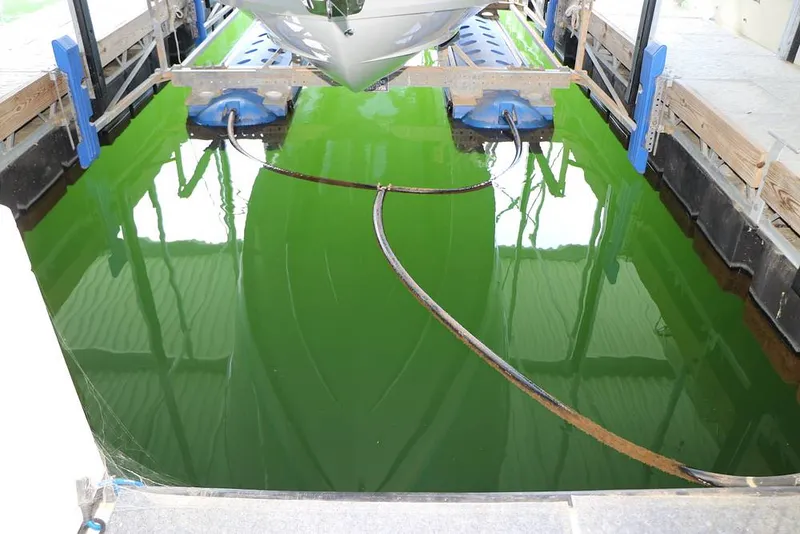 Slide: The Image of Regal LS6 2019 - 15732533