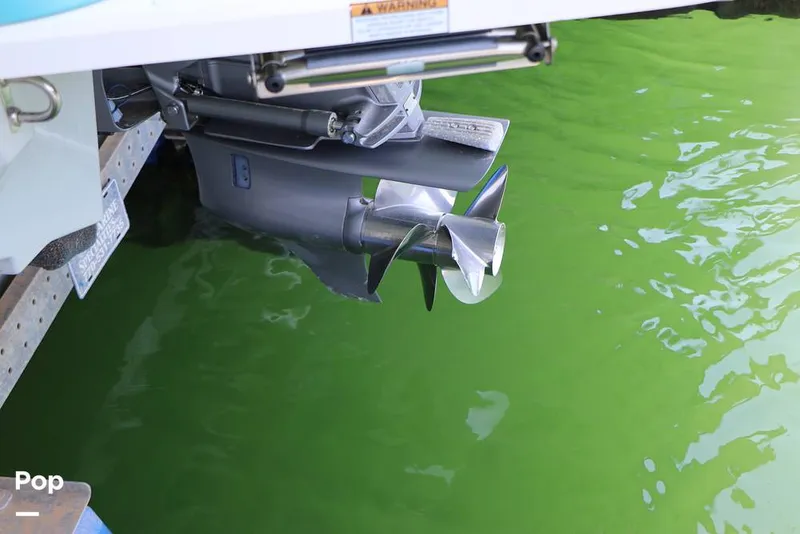 Slide: The Image of Regal LS6 2019 - 15732656