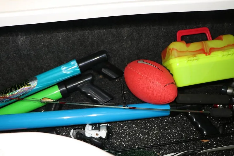 Slide: The Image of Regal LS6 2019 - 15732600