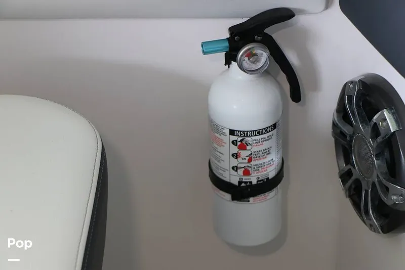 Slide: The Image of Regal LS6 2019 - 15732621