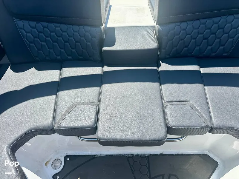 Slide: The Image of Scarab 195 ID HO 2022 - 15766828