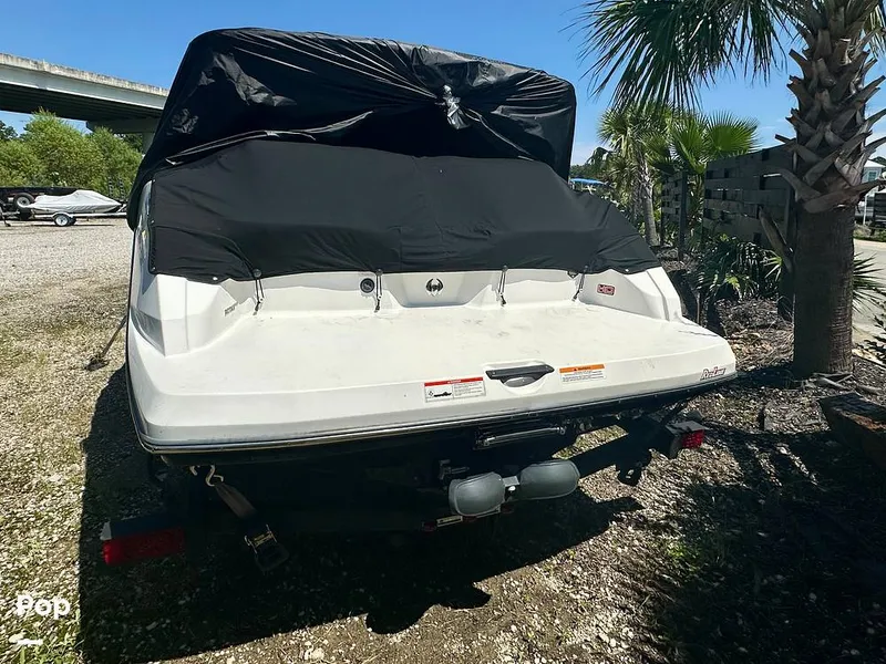 Slide: The Image of Scarab 195 ID HO 2022 - 15767203