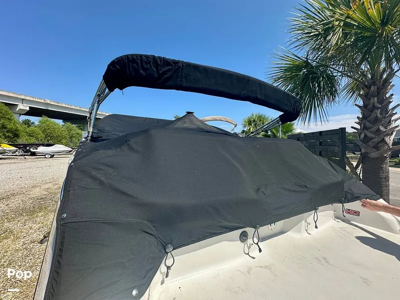 Slide: The Image of Scarab 195 ID HO 2022 - 15767211