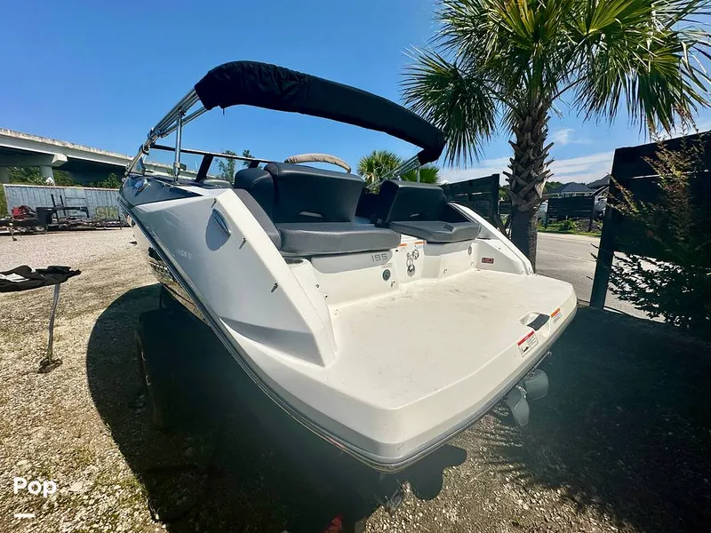 Slide: The Image of Scarab 195 ID HO 2022 - 15767214