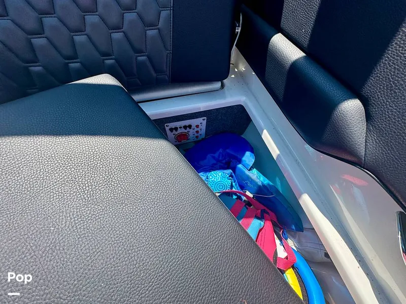 Slide: The Image of Scarab 195 ID HO 2022 - 15767228