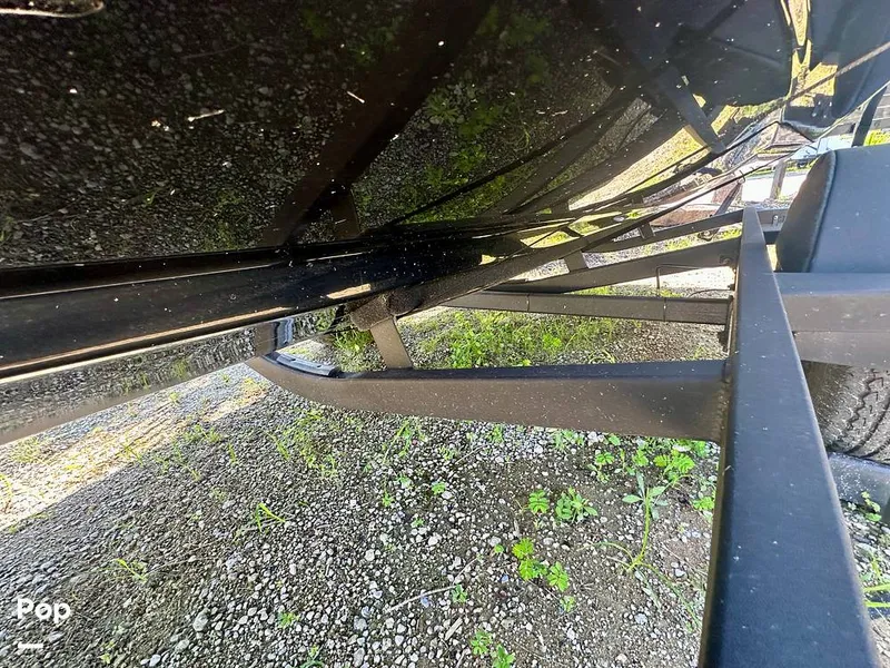 Slide: The Image of Scarab 195 ID HO 2022 - 15767241