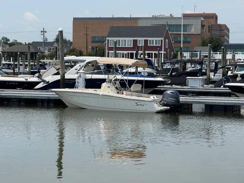 The Image of Scout 188 Sportfish 2026 - 0