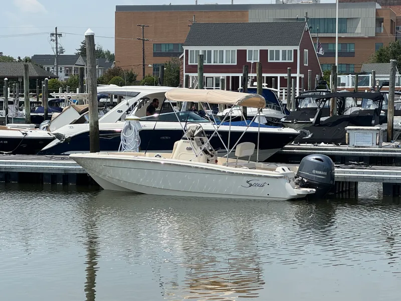 The Image of Scout 188 Sportfish 2026 - 0