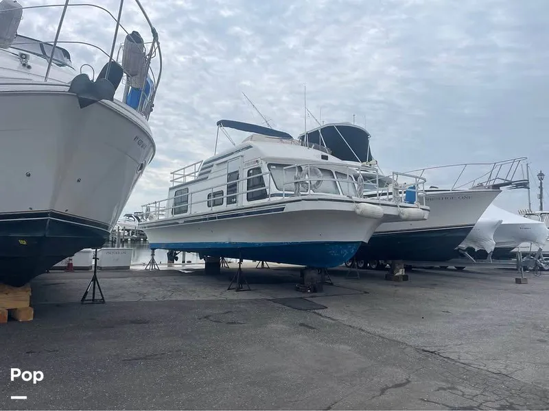 Slide: The Image of Gibson 37 Sport 1996 - 15729695